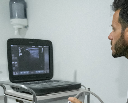 Captura de Pantalla 2025-01-22 a las 14.22.21